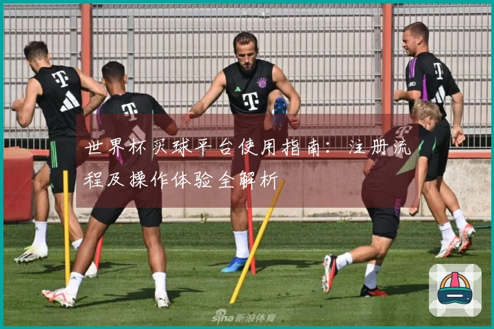 世界杯买球平台使用指南：注册流程及操作体验全解析