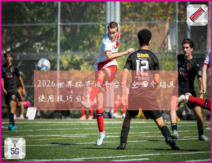2026世界杯资讯平台：全面介绍及使用技巧分享