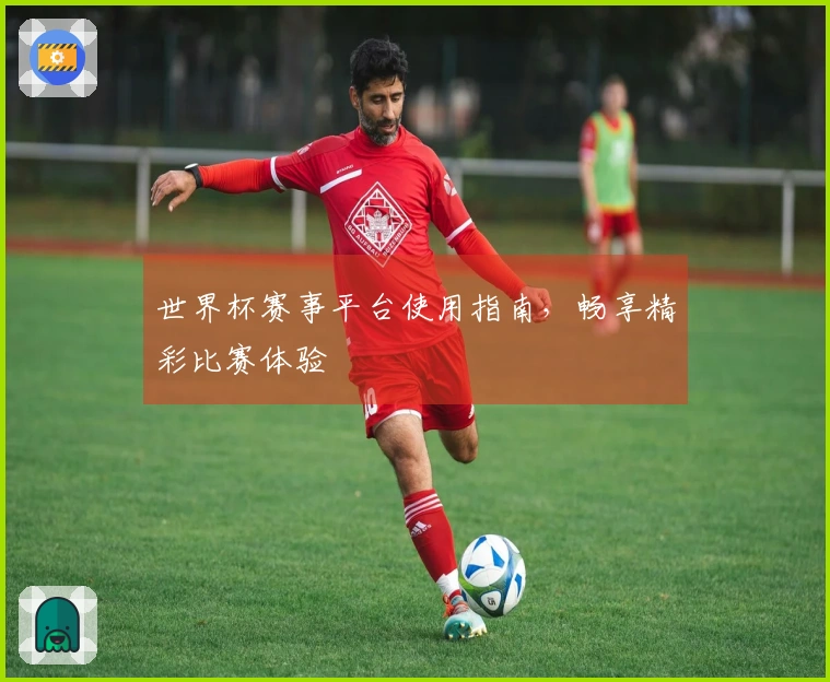 世界杯赛事平台使用指南，畅享精彩比赛体验