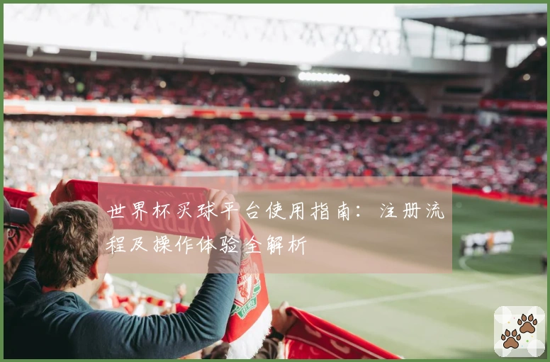 世界杯买球平台使用指南：注册流程及操作体验全解析