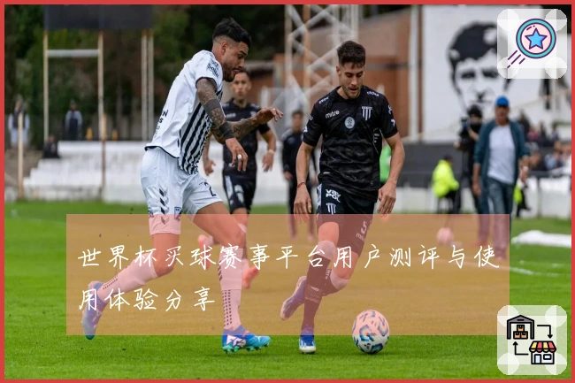 世界杯买球赛事平台用户测评与使用体验分享