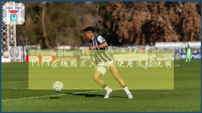 FIFA在线购买入口及使用流程说明