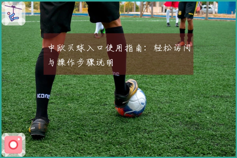 中欧买球入口使用指南：轻松访问与操作步骤说明