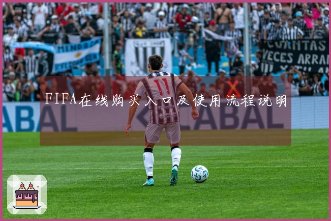 FIFA在线购买入口及使用流程说明